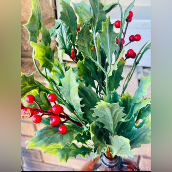 *Dazzling Holly Bush, 14” - Picture 5 of 9